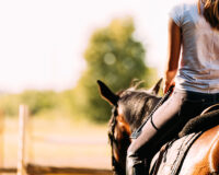 Cavalcare in sicurezza: le regole principali - Horse Trekking Crew
