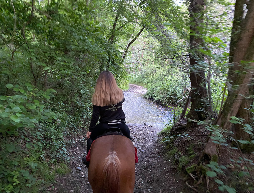 picnic a cavallo-1